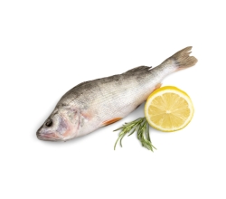 Sklep rybny Sklep rybny